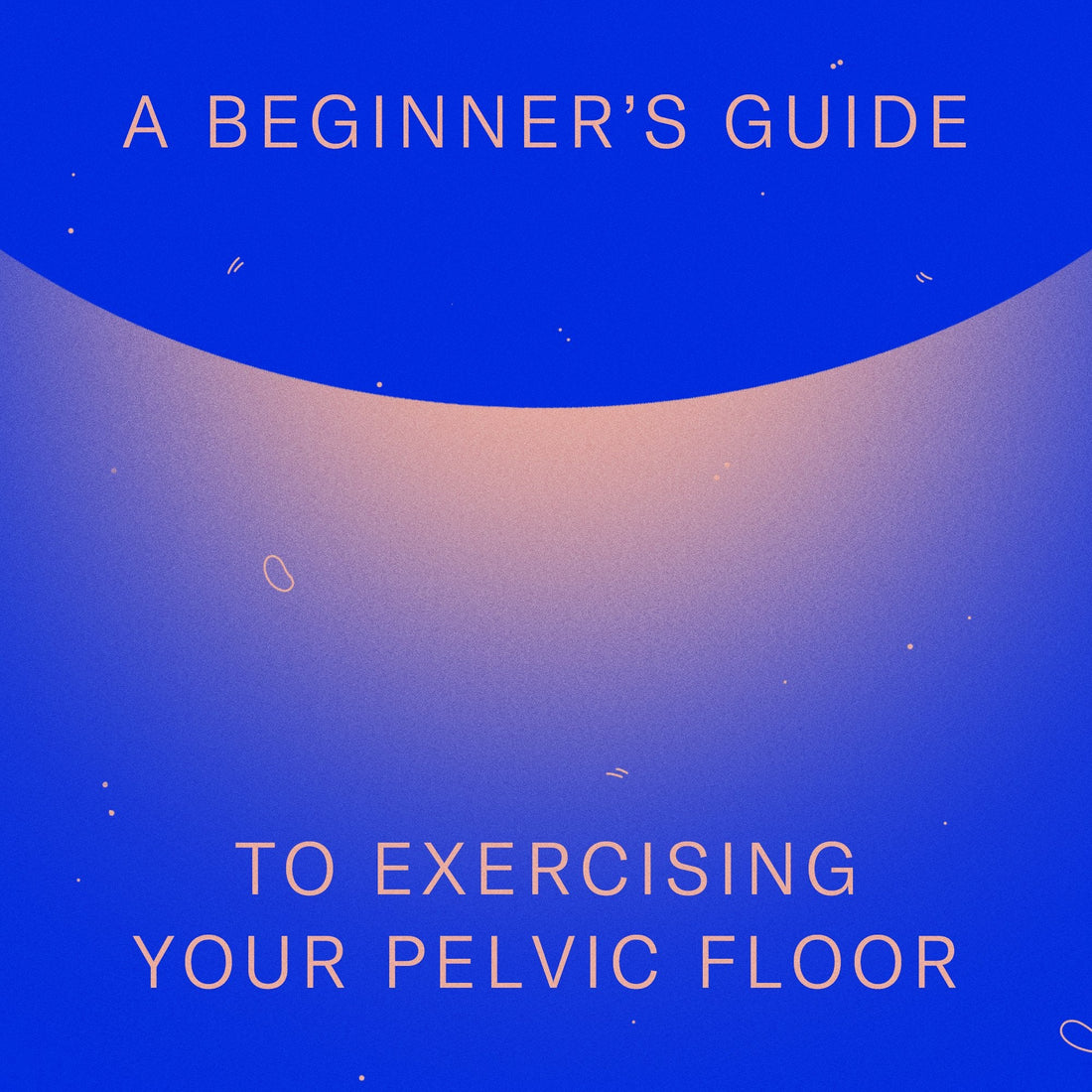 pelvic floor kegels