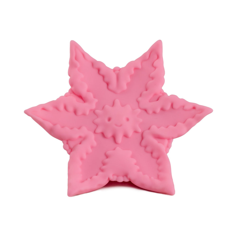 Cute Little Fuckers Starsi