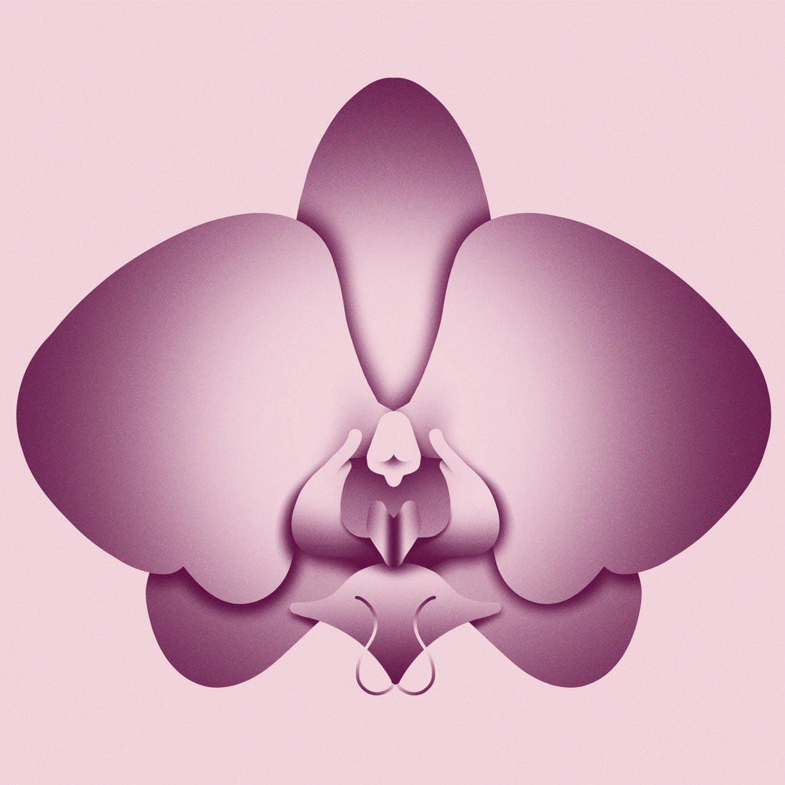 Exploring Intersex and the Sex Spectrum Dame Products Exploring Intersex and the Sex Spectrum Dame Products
