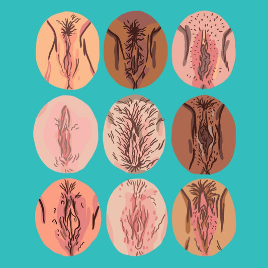 Are My Labia Normal?