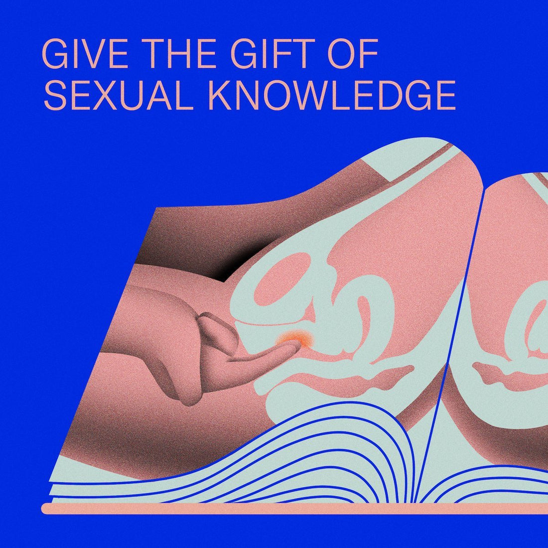 sex ed gift guide