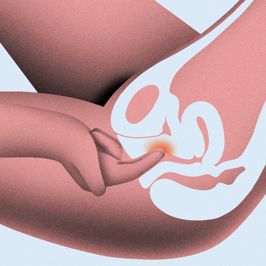 Diagram of anatomy with a hard stimulating the g-spot