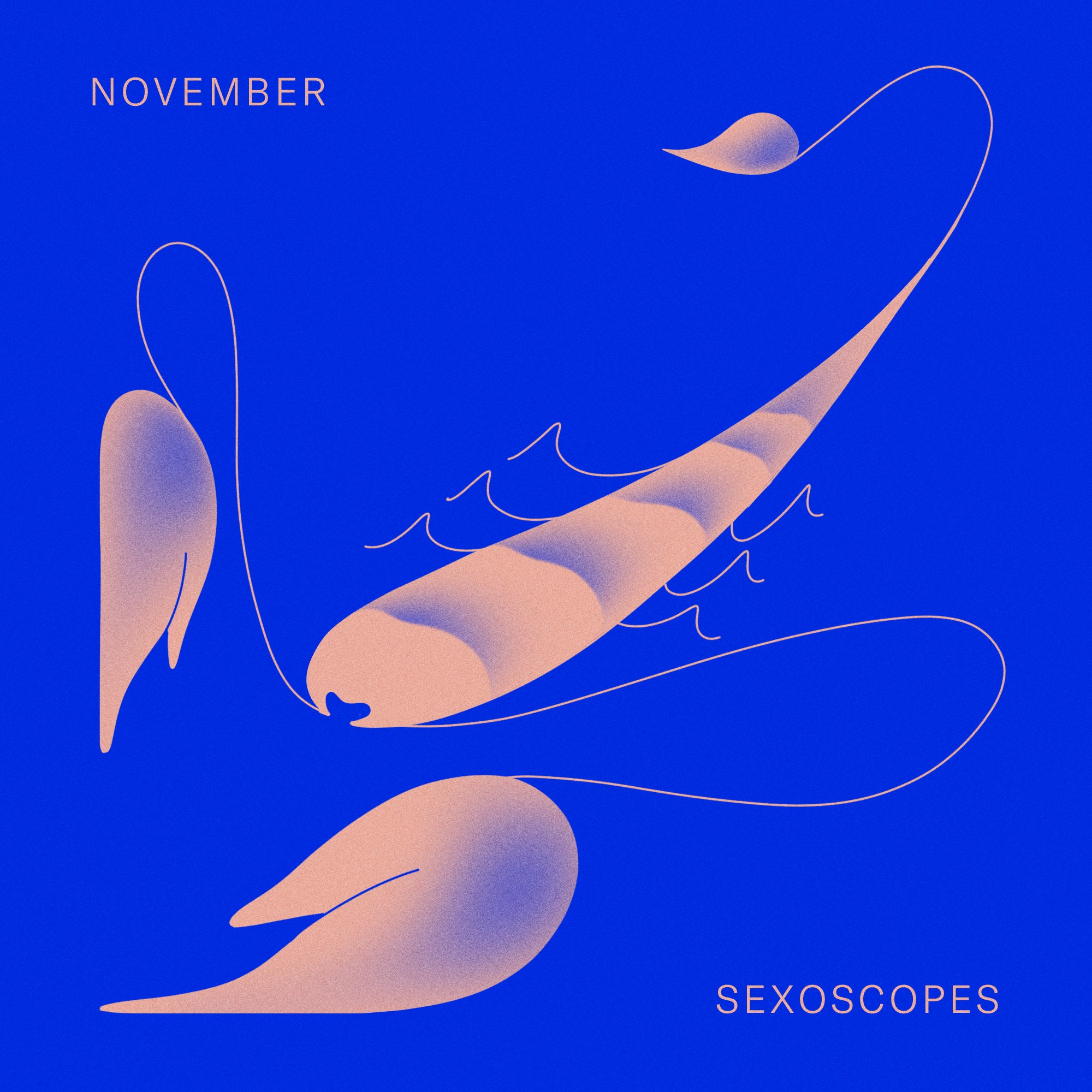 November Sexoscopes